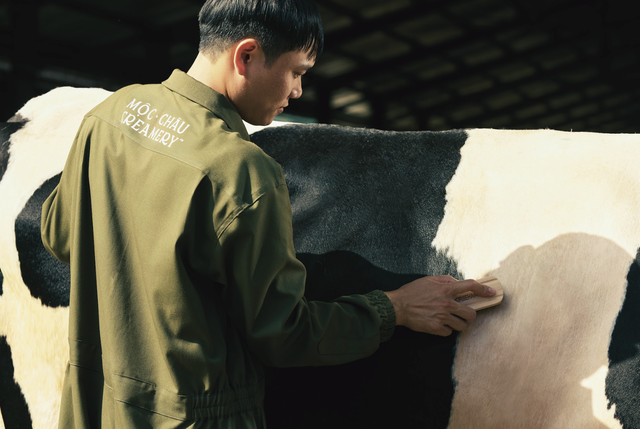 Sữa tươi Mộc Châu Creamery ghi dấu với chứng nhận Clean Label Project từ Hoa Kỳ- Ảnh 1. Sữa tươi Mộc Châu Creamery ghi dấu với chứng nhận Clean Label Project từ Hoa Kỳ- Ảnh 1.