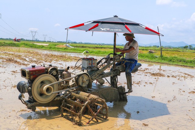 Chủ động phòng tránh say nắng, sốc nhiệt mùa nắng nóng- Ảnh 2. Chủ động phòng tránh say nắng, sốc nhiệt mùa nắng nóng- Ảnh 2.