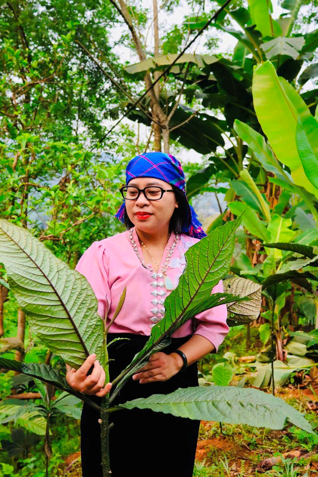 Y sĩ Nguyễn Thị Thái gìn giữ bài thuốc Đông y hỗ trợ điều trị hiếm muộn- Ảnh 1.