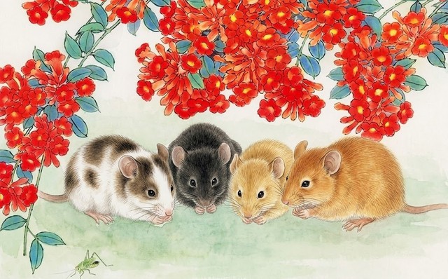 Tử vi tuần mới 12 con giáp 4/5 - 10/5: Mùi hanh thông, Mão bùng nổ tài lộc- Ảnh 1.