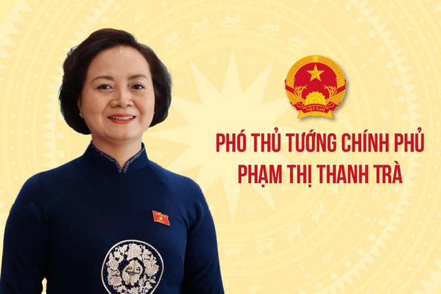 Phó Thủ tướng Phạm Thị Thanh Trà làm Trưởng BCĐ quốc gia về phát triển ngành Dược Việt Nam- Ảnh 1.