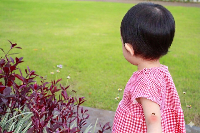 Viêm não Nhật Bản: Cẩn trọng dấu hiệu dễ nhầm với sốt siêu vi- Ảnh 2.