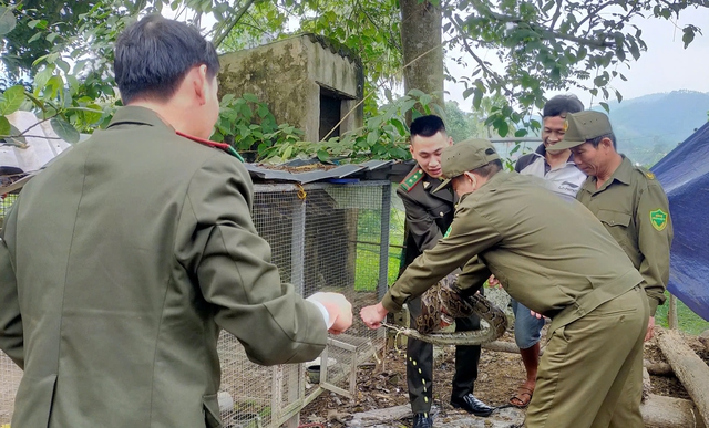 Khu rừng chữa lành vết thương, khơi dậy bản năng sinh tồn cho động vật quý hiếm- Ảnh 3. Khu rừng chữa lành vết thương, khơi dậy bản năng sinh tồn cho động vật quý hiếm- Ảnh 3.