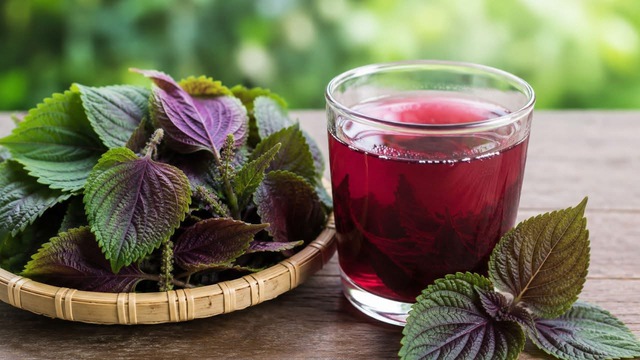 Cách uống nước lá tía tô giúp giảm cân, trắng da, ngừa mụn- Ảnh 2. Cách uống nước lá tía tô giúp giảm cân, trắng da, ngừa mụn- Ảnh 2.