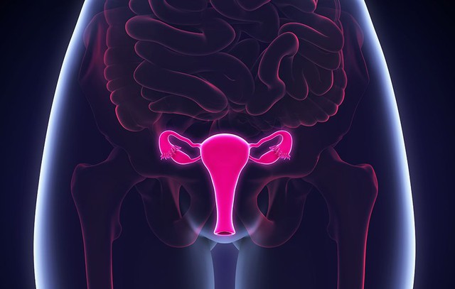 Ngoài ung thư cổ tử cung, HPV có thể gây loại ung thư nào khác?- Ảnh 1. Ngoài ung thư cổ tử cung, HPV có thể gây loại ung thư nào khác?- Ảnh 1.