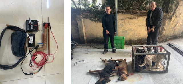 Triệt phá nhóm ‘cẩu tặc’ chuyên nghiệp, trộm hơn 120 con chó trong 5 tháng- Ảnh 2. Triệt phá nhóm ‘cẩu tặc’ chuyên nghiệp, trộm hơn 120 con chó trong 5 tháng- Ảnh 2.