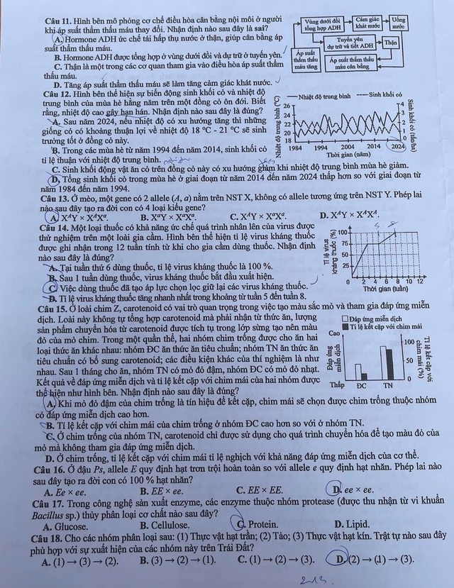 Đáp án đề thi môn Sinh học tốt nghiệp THPT 2026 tất cả mã đề - Ảnh 3.