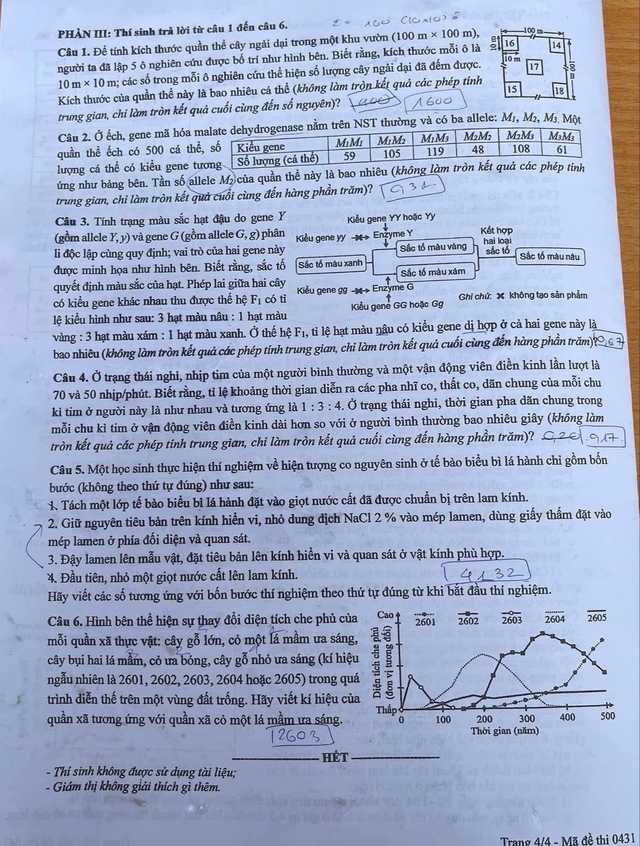 Đáp án đề thi môn Sinh học tốt nghiệp THPT 2026 tất cả mã đề - Ảnh 5.