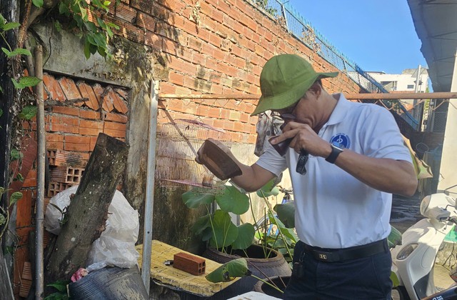 Số ca sốt xuất huyết ở Cần Thơ ghi nhận vẫn ở mức cao, ngành y tế khuyến cáo người dân chủ động diệt lăng quăng- Ảnh 1. Số ca sốt xuất huyết ở Cần Thơ ghi nhận vẫn ở mức cao, ngành y tế khuyến cáo người dân chủ động diệt lăng quăng- Ảnh 1.