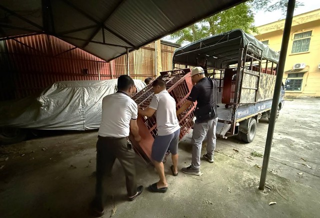 Chuyển giao cá thể gấu ngựa hơn 20 năm tuổi ở Thái Nguyên về trung tâm cứu hộ - Ảnh 1.
