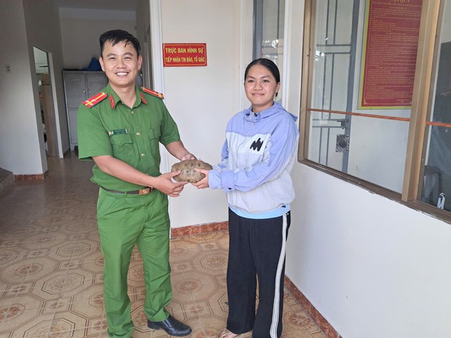 Phát hiện rùa núi vàng trong vườn, nữ sinh ở Lâm Đồng mang đến cơ quan công an- Ảnh 1.
