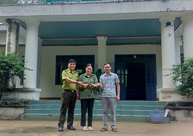 Người dân phát hiện 'loài vật rất quý' liền mang về giao nộp cho chính quyền- Ảnh 1. Người dân phát hiện 'loài vật rất quý' liền mang về giao nộp cho chính quyền- Ảnh 1.