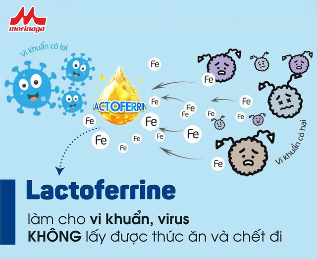 Chăm sóc trẻ sinh mổ bằng khoa học miễn dịch- Ảnh 1. Chăm sóc trẻ sinh mổ bằng khoa học miễn dịch- Ảnh 1.