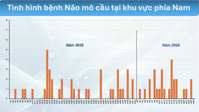Chuyên gia cảnh báo não mô cầu gia tăng tại phía Nam, nguy cơ 'dịch chồng dịch' - Ảnh 2.