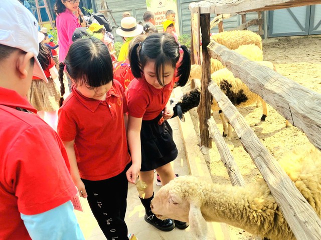 Nghỉ hè, phụ huynh Hà Nội tốn tiền triệu để 'giữ chân' con- Ảnh 4.