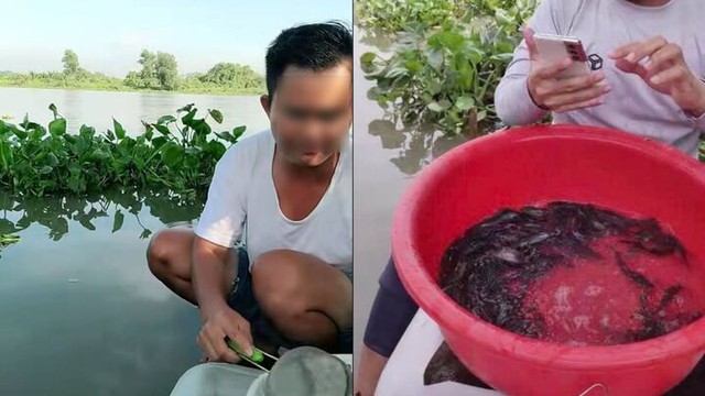 Phóng sinh qua livestream đang tiếp tay cho buôn bán động vật hoang dã- Ảnh 1.