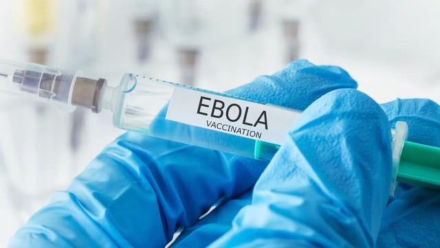 Cuộc đua điều chế vaccine Ebola xuất hiện những ứng viên 'nặng ký'- Ảnh 1. Cuộc đua điều chế vaccine Ebola xuất hiện những ứng viên 'nặng ký'- Ảnh 1.