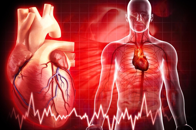 Mỡ máu cao – 'kẻ giết người thầm lặng' không gõ cửa báo trước- Ảnh 1.