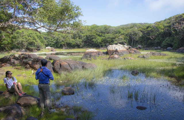 Tự ý tổ chức trekking ở Vườn quốc gia Núi Chúa - Phước Bình có thể bị xử lý- Ảnh 3. Tự ý tổ chức trekking ở Vườn quốc gia Núi Chúa - Phước Bình có thể bị xử lý- Ảnh 3.
