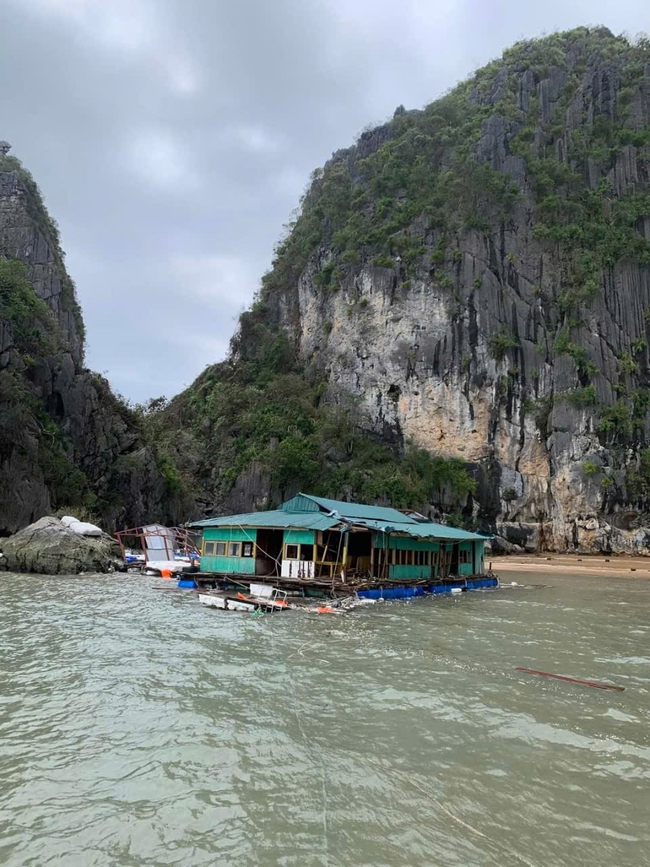 Quảng Ninh: Tạm đình chỉ chức vụ Giám đốc điện lực Hạ Long do để mất điện nhiều ngày trong bão số 3 

- Ảnh 2.