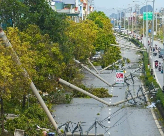 Quảng Ninh: Tạm đình chỉ chức vụ Giám đốc điện lực Hạ Long do để mất điện nhiều ngày trong bão số 3 

- Ảnh 1.