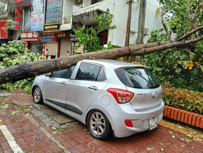 Thái Bình thiệt hại sau bão số 3, tập trung khôi phục ngay mọi hoạt động- Ảnh 2.