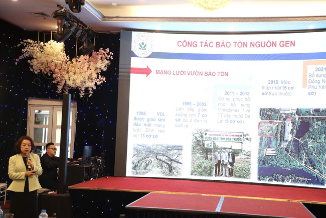 Bảo tồn để phát huy nguồn lực dược liệu quốc gia- Ảnh 3.