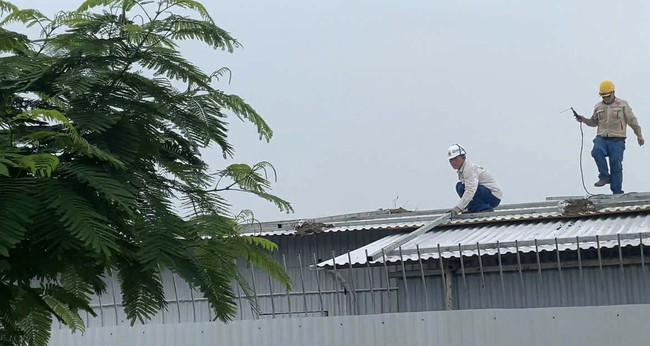 Hải Phòng chỉ đạo khẩn ứng phó bão số 3, đảm bảo an toàn cho du khách- Ảnh 1. Hải Phòng chỉ đạo khẩn ứng phó bão số 3, đảm bảo an toàn cho du khách- Ảnh 1.
