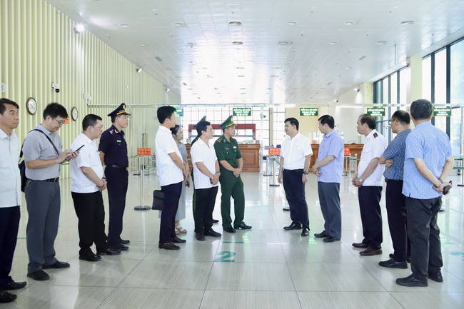 Bộ Y tế kiểm tra toàn tuyến phòng Chikungunya tại Lạng Sơn- Ảnh 2.