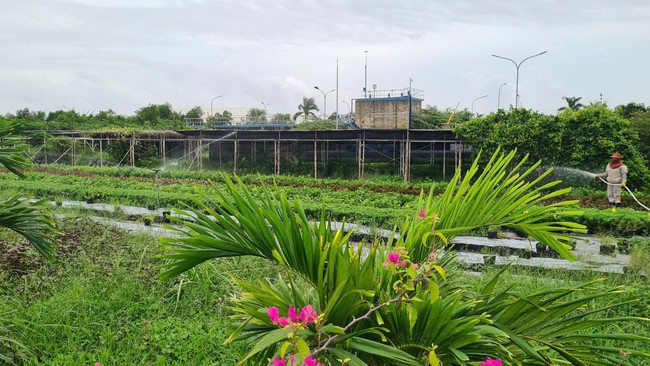 Năng lượng thông minh, hiện thực hoá cam kết Net Zero 2050- Ảnh 6. Năng lượng thông minh, hiện thực hoá cam kết Net Zero 2050- Ảnh 6.