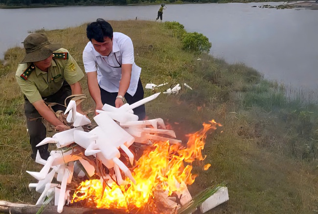 Bẫy giăng kín đồng ruộng, kiểm lâm ráo riết tháo gỡ bảo vệ chim hoang dã- Ảnh 5. Bẫy giăng kín đồng ruộng, kiểm lâm ráo riết tháo gỡ bảo vệ chim hoang dã- Ảnh 5.
