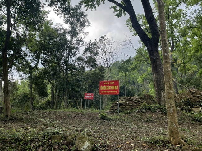 Hải Phòng đẩy mạnh kết nối di sản, thương mại và du lịch tại Lễ hội mùa Xuân Côn Sơn - Kiếp Bạc 2026- Ảnh 5. Hải Phòng đẩy mạnh kết nối di sản, thương mại và du lịch tại Lễ hội mùa Xuân Côn Sơn - Kiếp Bạc 2026- Ảnh 5.
