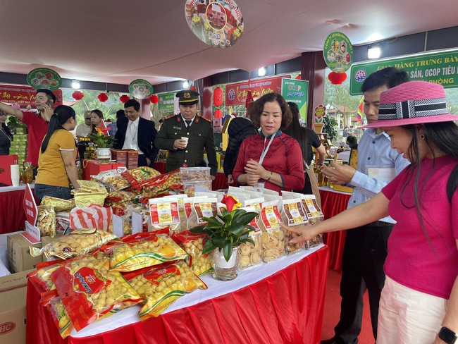 Hải Phòng đẩy mạnh kết nối di sản, thương mại và du lịch tại Lễ hội mùa Xuân Côn Sơn - Kiếp Bạc 2026- Ảnh 2. Hải Phòng đẩy mạnh kết nối di sản, thương mại và du lịch tại Lễ hội mùa Xuân Côn Sơn - Kiếp Bạc 2026- Ảnh 2.