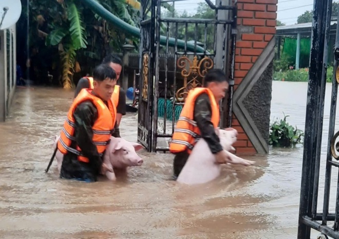 Những hình ảnh ấm tình quân dân trong mưa lũ- Ảnh 3.