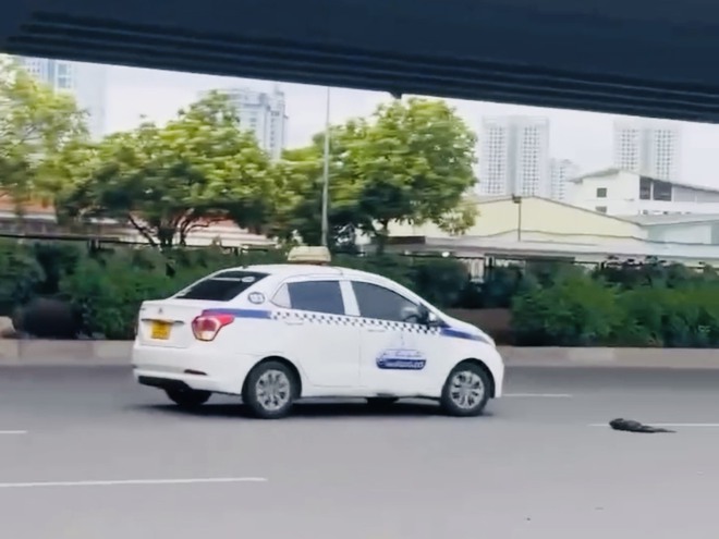 Đã tìm được người lái xe taxi náo loạn đường phố Hà Nội- Ảnh 3.