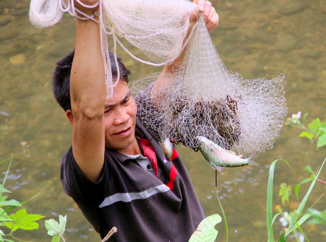 Dân bản chung tay bảo tồn cá hiếm giữa đại ngàn Pù Huống- Ảnh 2.