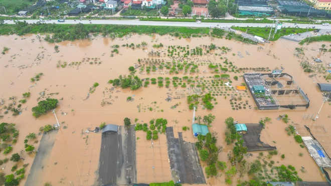 Làng cây cảnh Hưng Yên ngập sâu trong nước, người dân thiệt hại nhiều tỉ đồng- Ảnh 8.