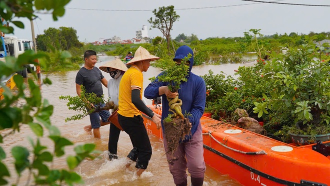 Làng cây cảnh Hưng Yên ngập sâu trong nước, người dân thiệt hại nhiều tỉ đồng- Ảnh 13.