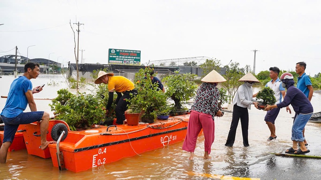 Làng cây cảnh Hưng Yên ngập sâu trong nước, người dân thiệt hại nhiều tỉ đồng- Ảnh 12.