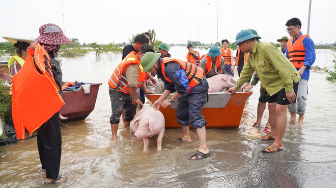 Làng cây cảnh Hưng Yên ngập sâu trong nước, người dân thiệt hại nhiều tỉ đồng- Ảnh 15.