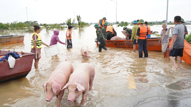 Làng cây cảnh Hưng Yên ngập sâu trong nước, người dân thiệt hại nhiều tỉ đồng- Ảnh 16.