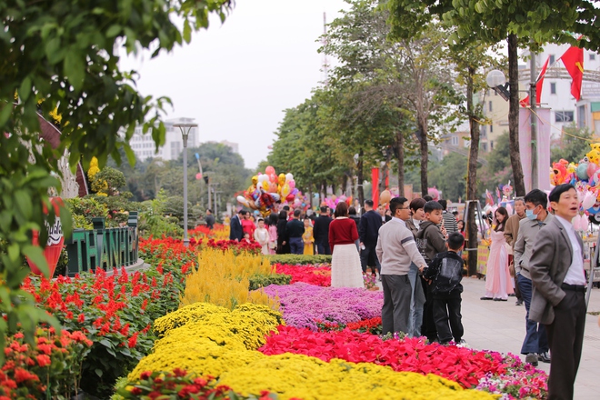 Hàng nghìn người 'check in' đường hoa ở TP Vinh
- Ảnh 2.