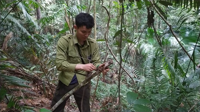 Dấu chân 'thép' của những chiến sĩ bảo vệ rừng Pù Mát giữa đại ngàn- Ảnh 6.