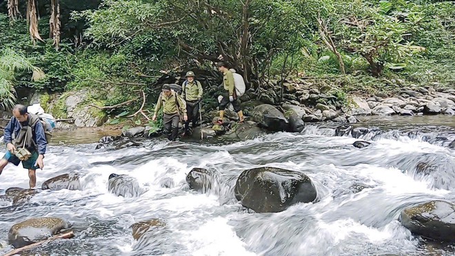 Dấu chân 'thép' của những chiến sĩ bảo vệ rừng Pù Mát giữa đại ngàn- Ảnh 13.