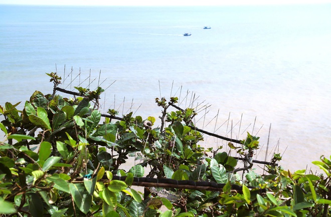 Chim hoang dã mắc kẹt trong ma trận bẫy giữa lưng chừng trời- Ảnh 5.