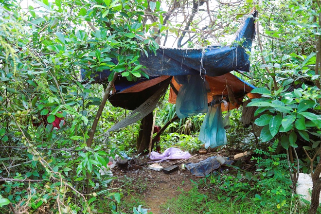 Chim hoang dã mắc kẹt trong ma trận bẫy giữa lưng chừng trời- Ảnh 12.