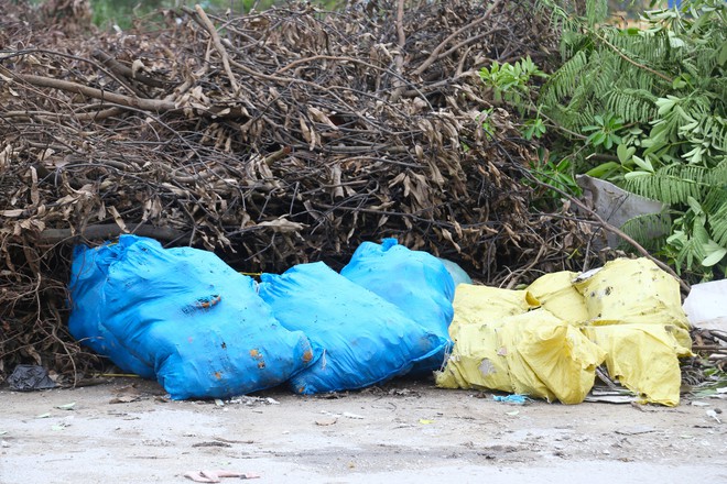 Nghệ An: Rác chất thành núi gây ô nhiễm- Ảnh 6.