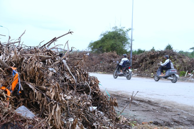 Nghệ An: Rác chất thành núi gây ô nhiễm- Ảnh 9.