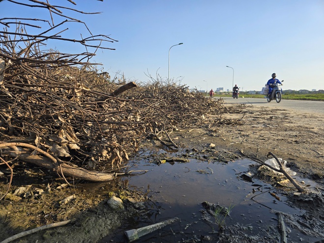 Nghệ An: Rác chất thành núi gây ô nhiễm- Ảnh 11.