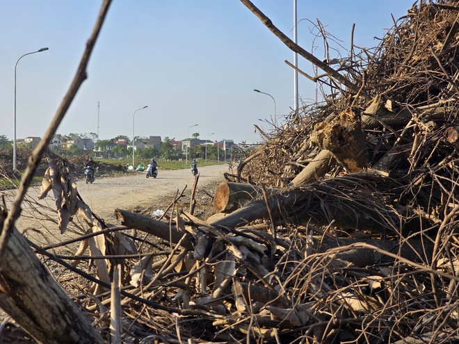 Nghệ An: Rác chất thành núi gây ô nhiễm- Ảnh 10.